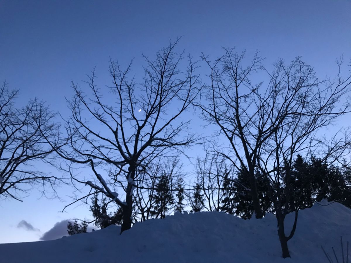 真っ白って心洗われる…よね？