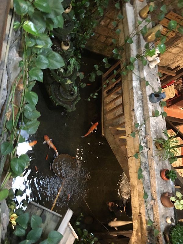 台湾・台北・九份「台北・九份」の写真：九份