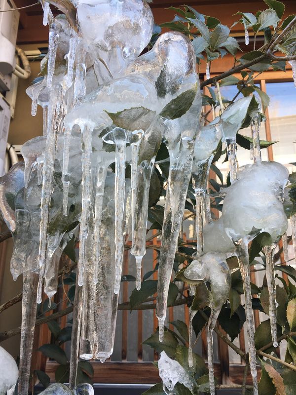 日本・長野県・善光寺・湯田中温泉よろづや・かまくらの里「湯田中温泉・かまくらの里」の写真：つらら〜！