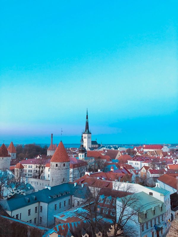 エストニア・タリン「エストニア旅行」の写真：丘からのタリンの眺め