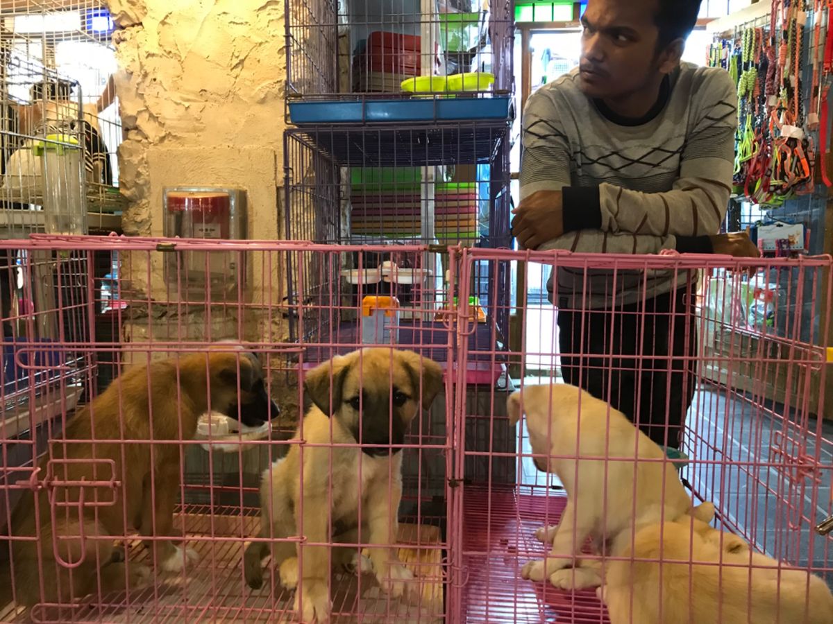 夜景を見たりスークへ行ったり。
短時間でしたがバスツアーで有意義な時間でした。