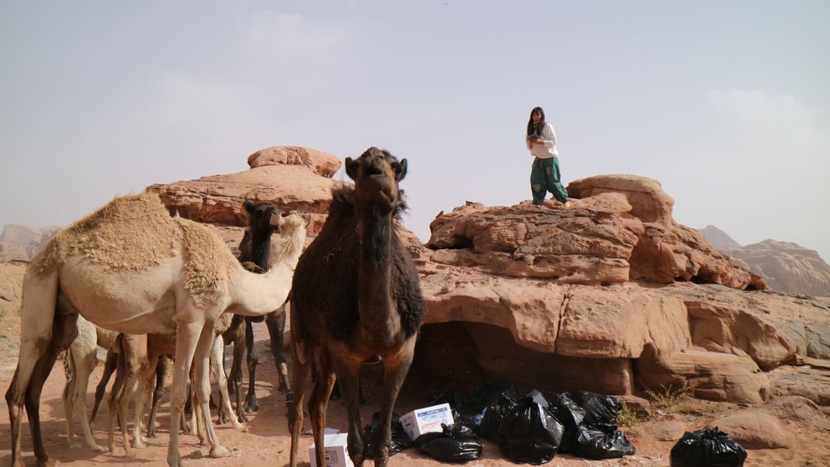 ワディラムでは色んな国の友達もできて楽しかった。大自然を満喫♫野生のラクダ...