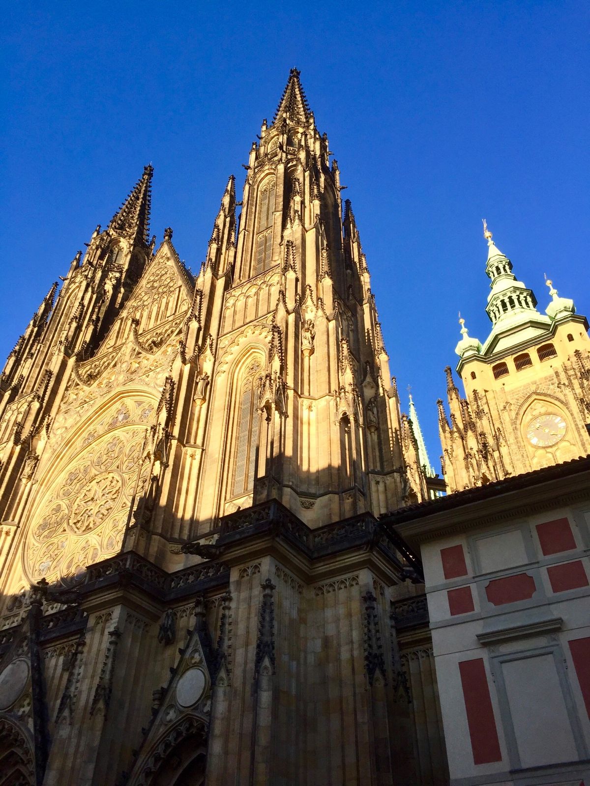 プラハ城内の聖ヴィート大聖堂です！荘厳です！