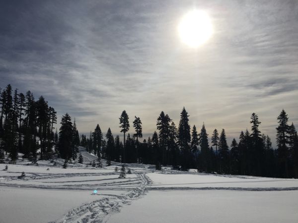 アメリカ(米国)・カリフォルニア、マウントシャスタ「マウントシャスタでスノーボード」の写真
