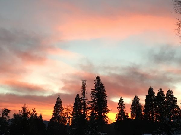 アメリカ(米国)・カリフォルニア、マウントシャスタ「マウントシャスタでスノーボード」の写真