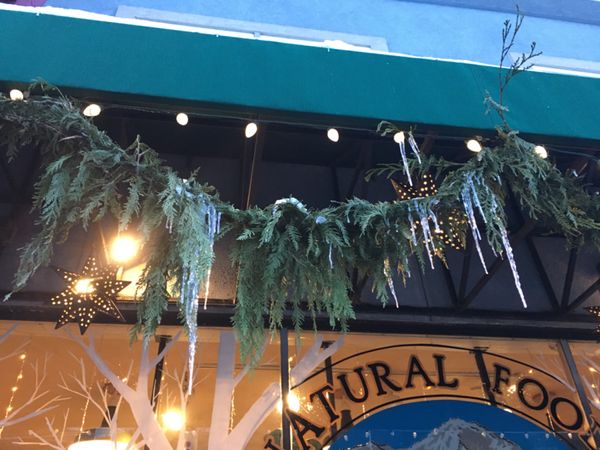 アメリカ(米国)・カリフォルニア、マウントシャスタ「マウントシャスタでスノーボード」の写真