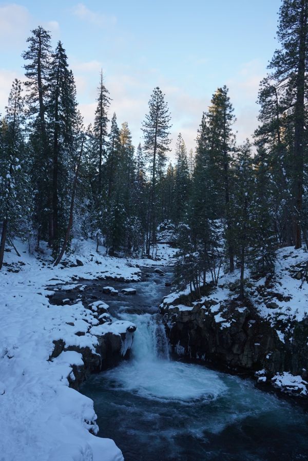 アメリカ(米国)・カリフォルニア、マウントシャスタ「マウントシャスタでスノーボード」の写真