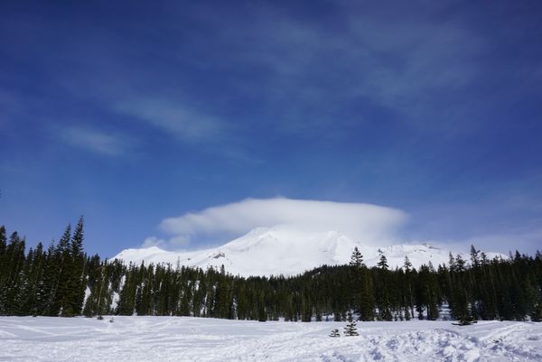 アメリカ(米国)・カリフォルニア、マウントシャスタ「マウントシャスタでスノーボード」の写真