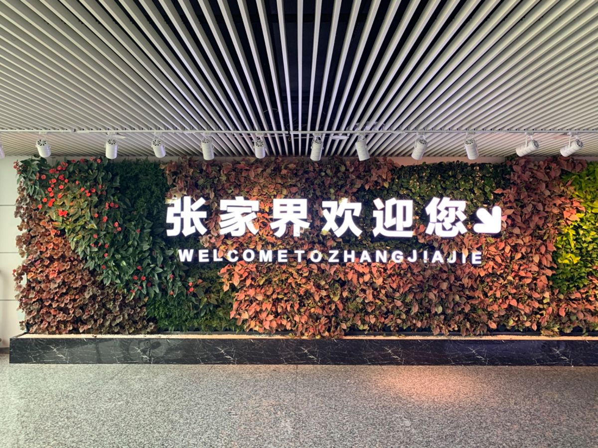 張家界に着いた！！
飛行機から降りるや否や、いきなりそれっぽい景色が！

...