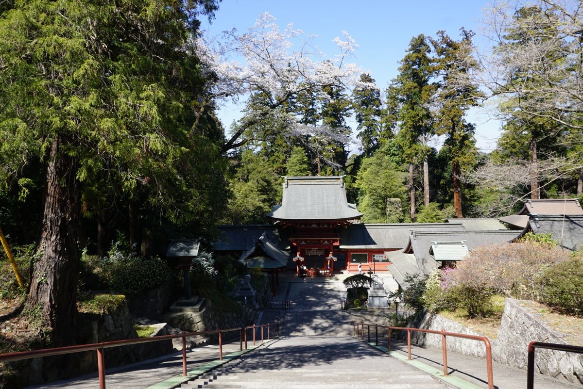 貫前神社は全国的にも珍しく、神門をくぐり階段を降りたところに神殿があります！