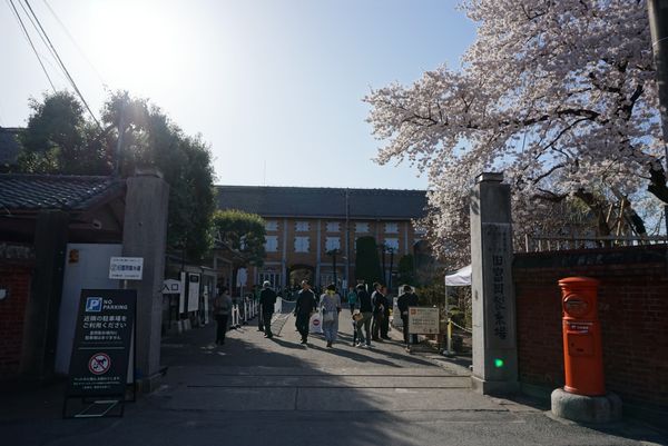 日本・群馬県、富岡「桜の富岡製糸場・貫前神社」の写真：世界遺産！富岡製糸場‼︎