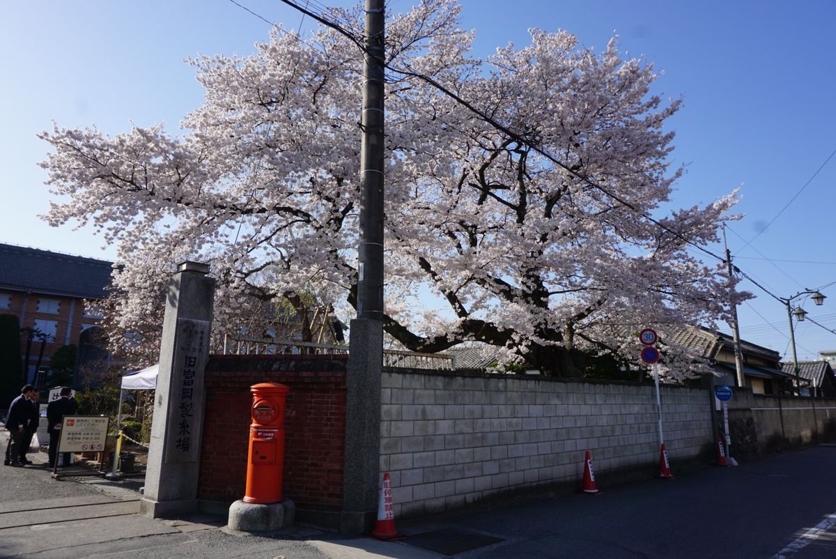 世界遺産！富岡製糸場‼︎