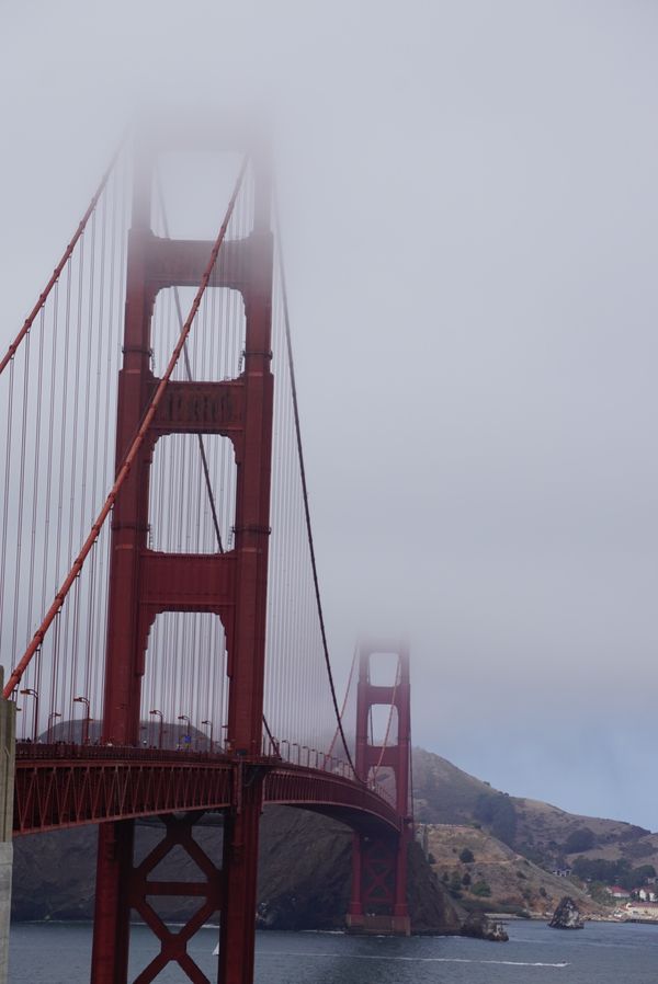 アメリカ(米国)・サンフランシスコ、ゴールデンゲートブリッジ、ウォルトディズニーファミリーミュージアム「霧のサンフランシスコ」の写真