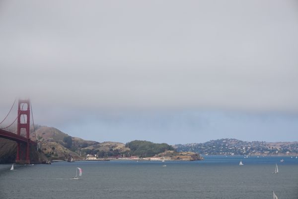 アメリカ(米国)・サンフランシスコ、ゴールデンゲートブリッジ、ウォルトディズニーファミリーミュージアム「霧のサンフランシスコ」の写真：ゴールデンゲートブリッジは霧がかかってい...