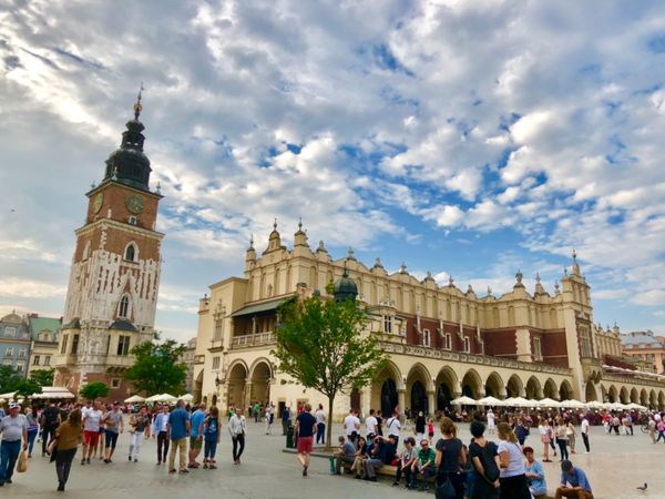 ポーランド・ワルシャワ、クラクフ、マルボルク、グダニスク「ポーランド旅行」の写真：クラクフの中央広場です！美しい…
