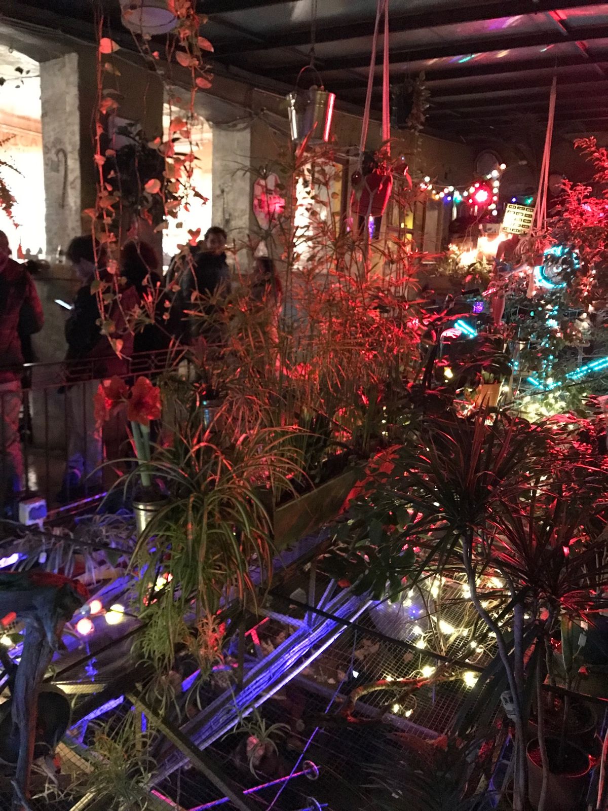 廃墟バー。
私はお酒が飲めないけど、雰囲気だけ味わいに🍺