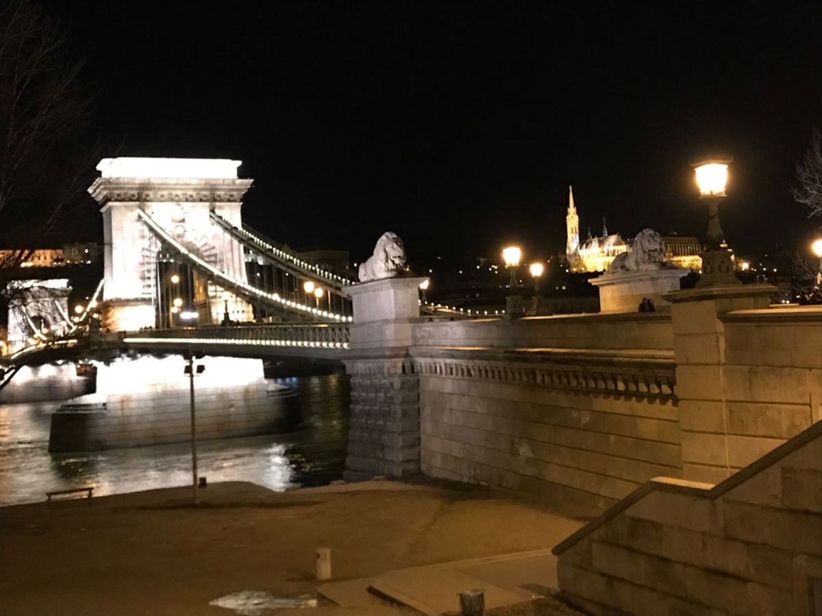 対岸から見る国会議事堂の夜景、感動的😊
でもめちゃ寒かった！