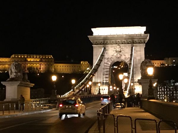 ハンガリー・ブダペスト「ブダペスト」の写真：ライオンと一緒の記念に📸