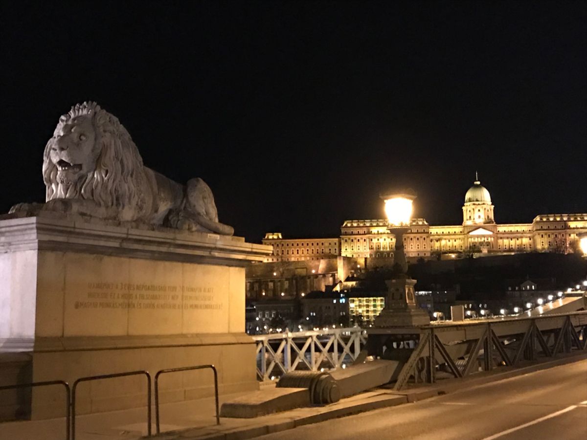 ライオンと一緒の記念に📸