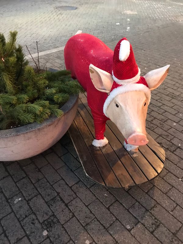 アイスランド・レイキャビク「レイキャビク　オーロラ目的の旅」の写真：大晦日は早めに閉店するお店が多かったようです。