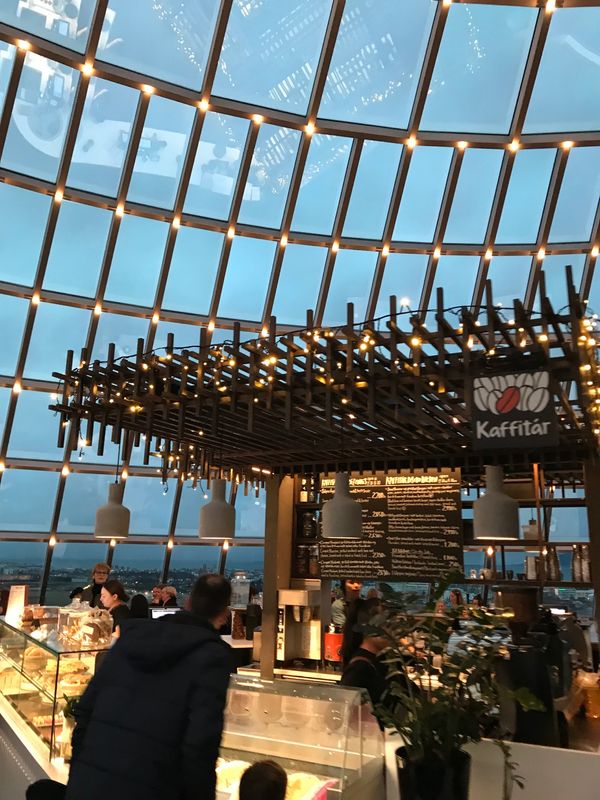 アイスランド・レイキャビク「レイキャビク　オーロラ目的の旅」の写真：ペルトランの建物は高台に建っているので目印に。