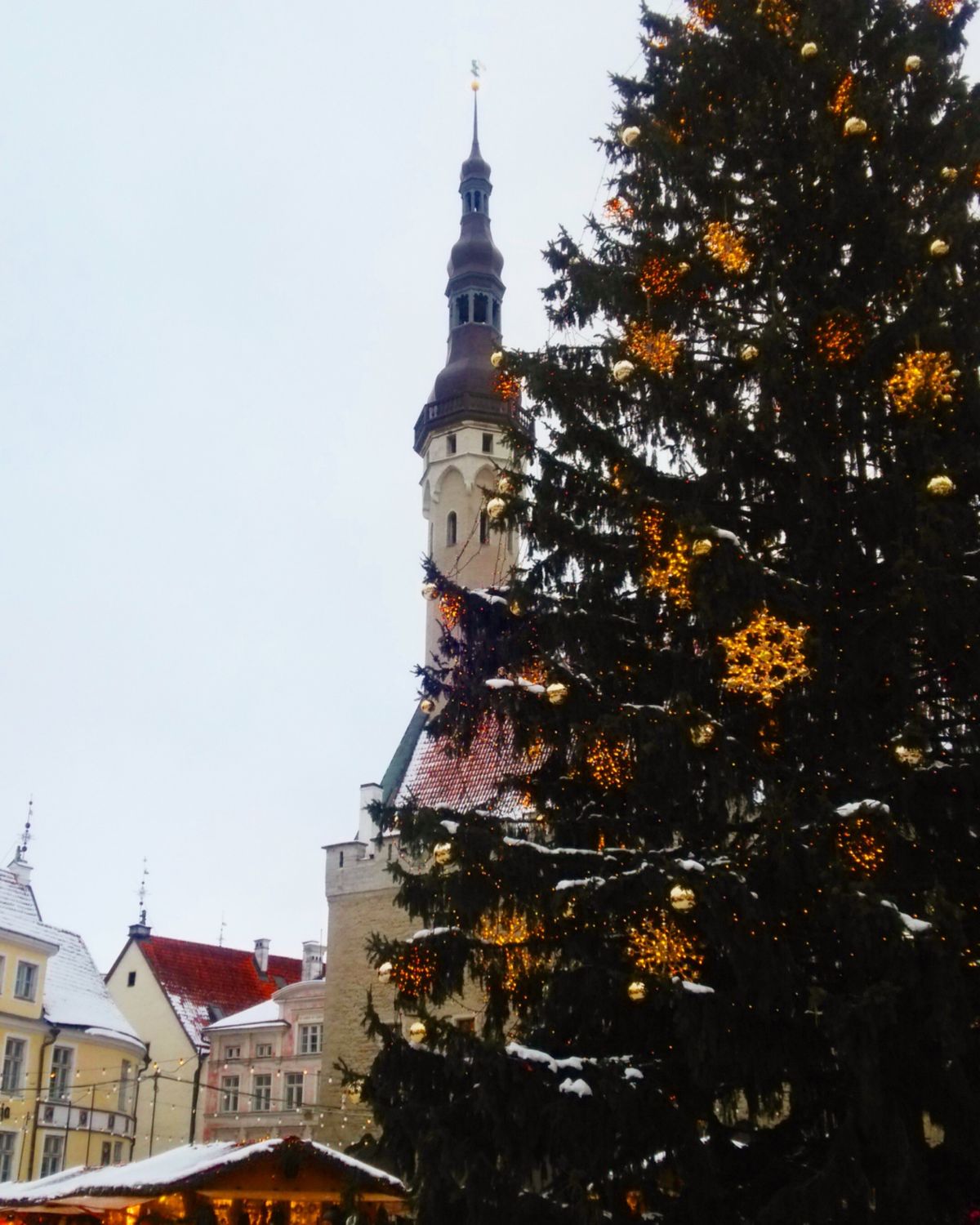 ヘルシンキから船で行けるエストニアのタリン。
冬はすごく寒かったけど、素晴...