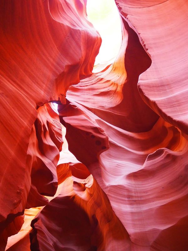 アメリカ(米国)・ラスベガス、ホースシューベンド  、アンテロープキャニオン、モニュメントバレー、グランドキャニオン、セドナ「グランドサークル　ロードトリップ🏜🌵🇺🇸」の写真