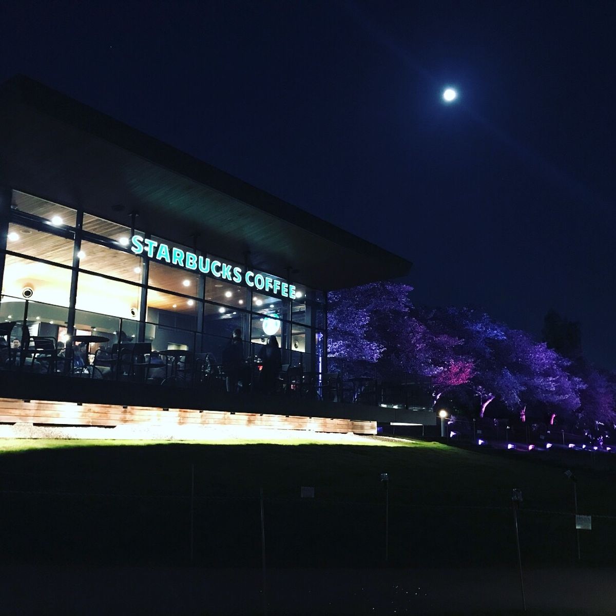 富山湾〜世界一美しいと言われるスターバックス