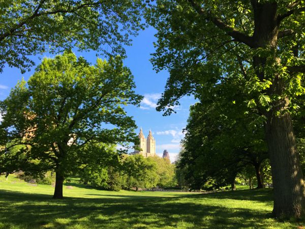 アメリカ(米国)・ニューヨーク「NEW YORK」の写真