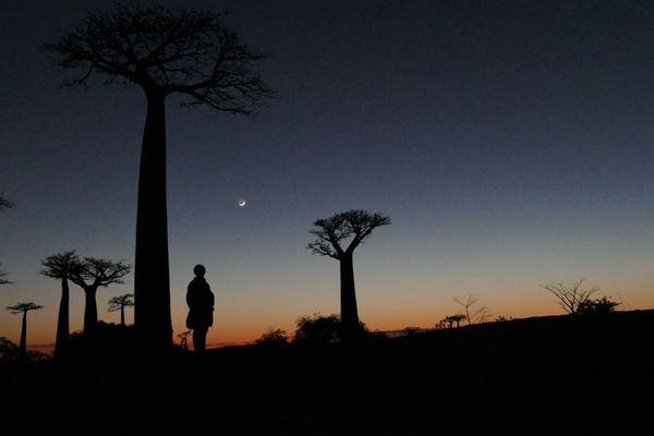 マダガスカル・アンタナナリボ「マダガスカル」の写真