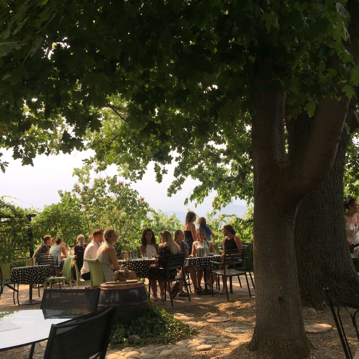 オカナガンワイナリー巡り🍇