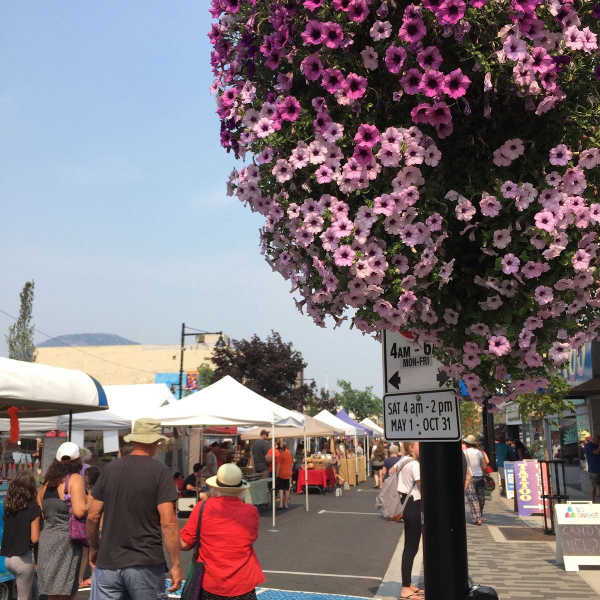 オカナガンワイナリー巡り🍇