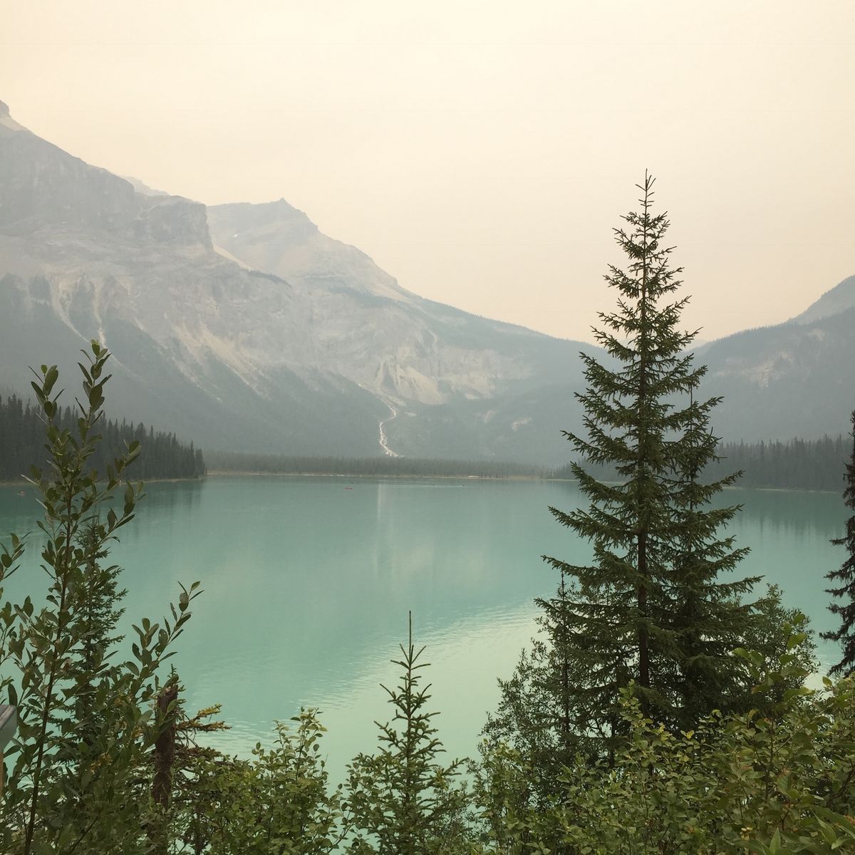 エメラルドレイク、タカカウ滝、コロンビア氷原
頻発していた森林火災の影響で...