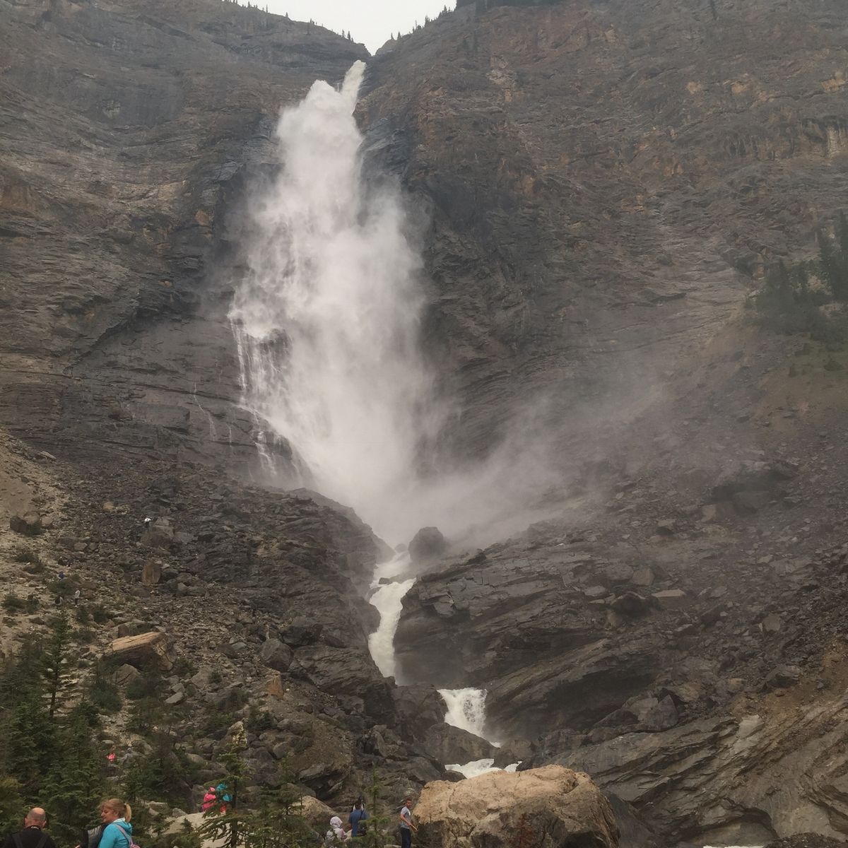エメラルドレイク、タカカウ滝、コロンビア氷原
頻発していた森林火災の影響で...