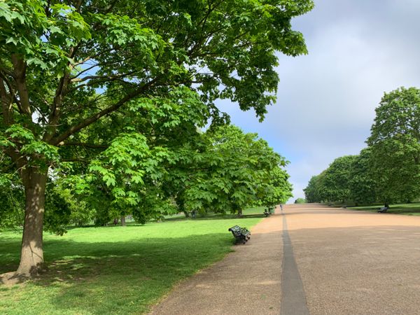 イギリス(英国)・ロンドン、コッツウォルズ「イギリス ロンドン旅🇬🇧」の写真：ケンジントン宮殿