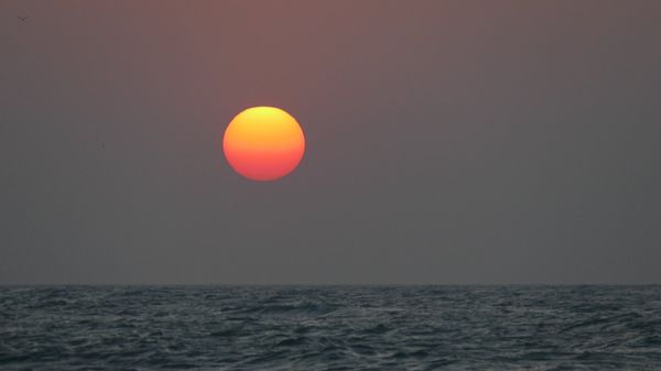 インド・デリー「インド！南インド！」の写真：トリヴァンドラム(ティルバナンタプーラム...