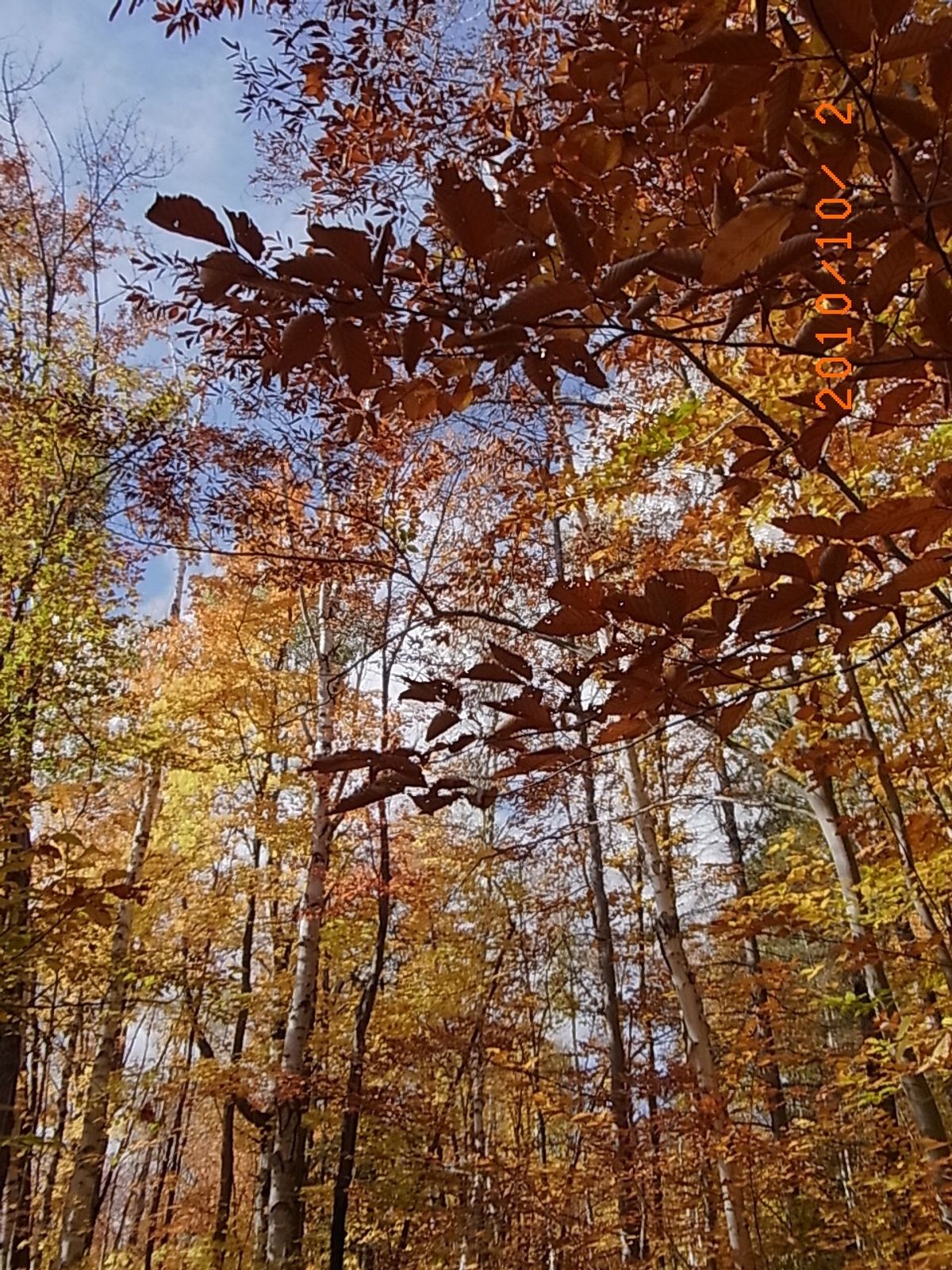 アルゴンキンパーク