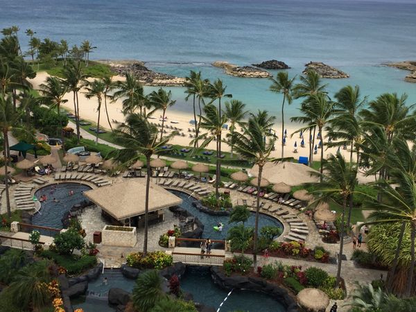 アメリカ(米国)・ハワイ「ベタなハワイ旅行」の写真：シュノーケリングはオアフ島北部のShar...