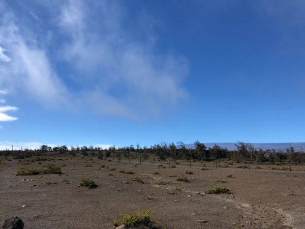 アメリカ(米国)・コナ「ハワイ2017」の写真