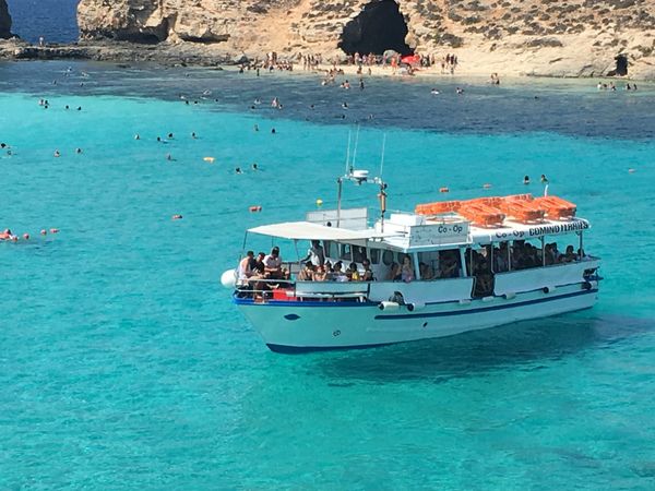 マルタ・マルタ「マルタ2018」の写真