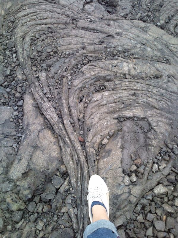 アメリカ(米国)・ハワイ「アメリカ ハワイの旅2010」の写真