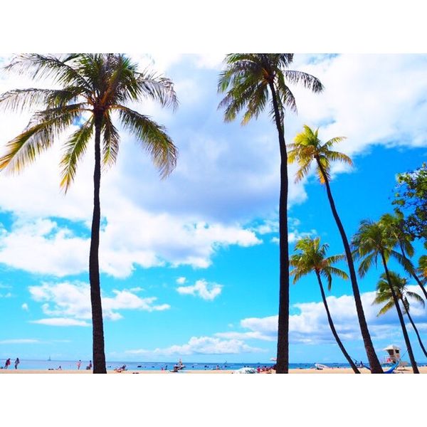 アメリカ(米国)・ホノルル「ハワイ」の写真：弾丸ハワイ。
なので本当に限られたところ...