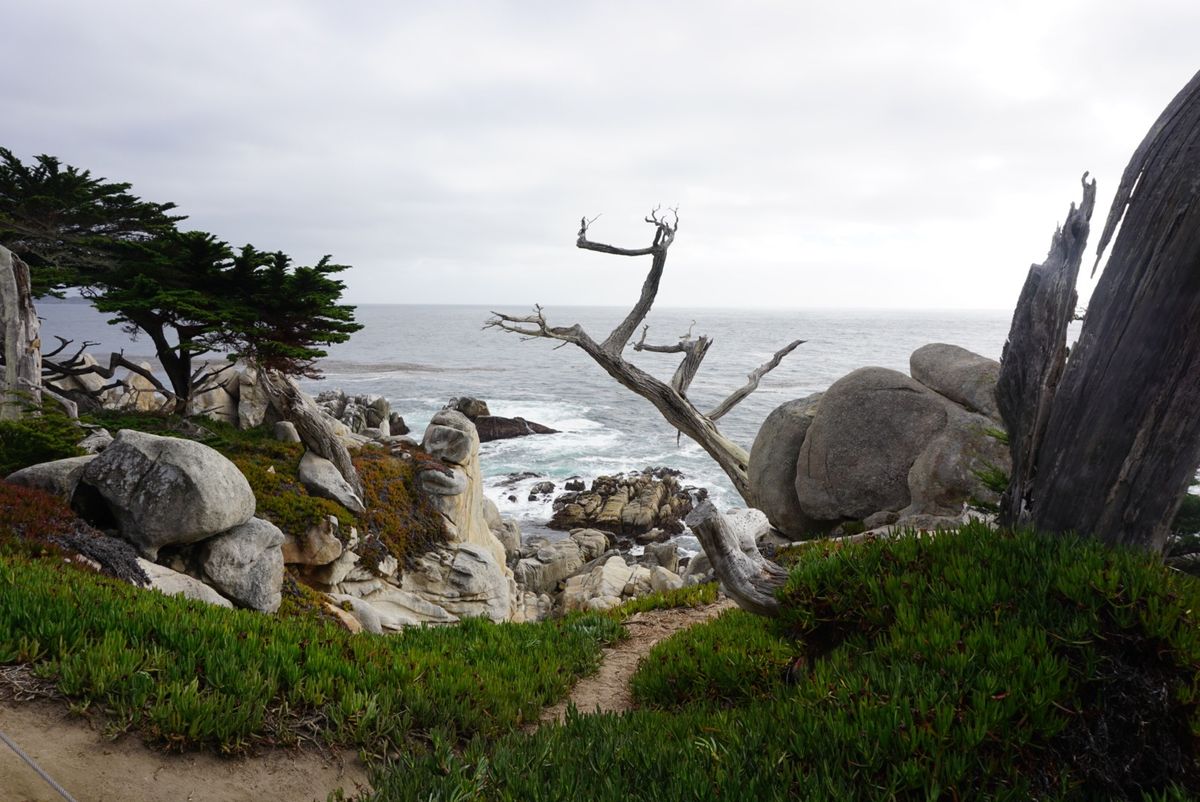 17マイルドライブ！西海岸の景勝地をドライブ！