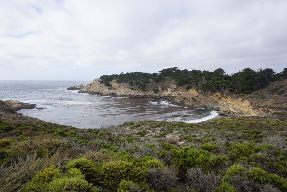 ボマイントロボスステート保護区。カリフォルニアの州立公園！野生のアザラシが...