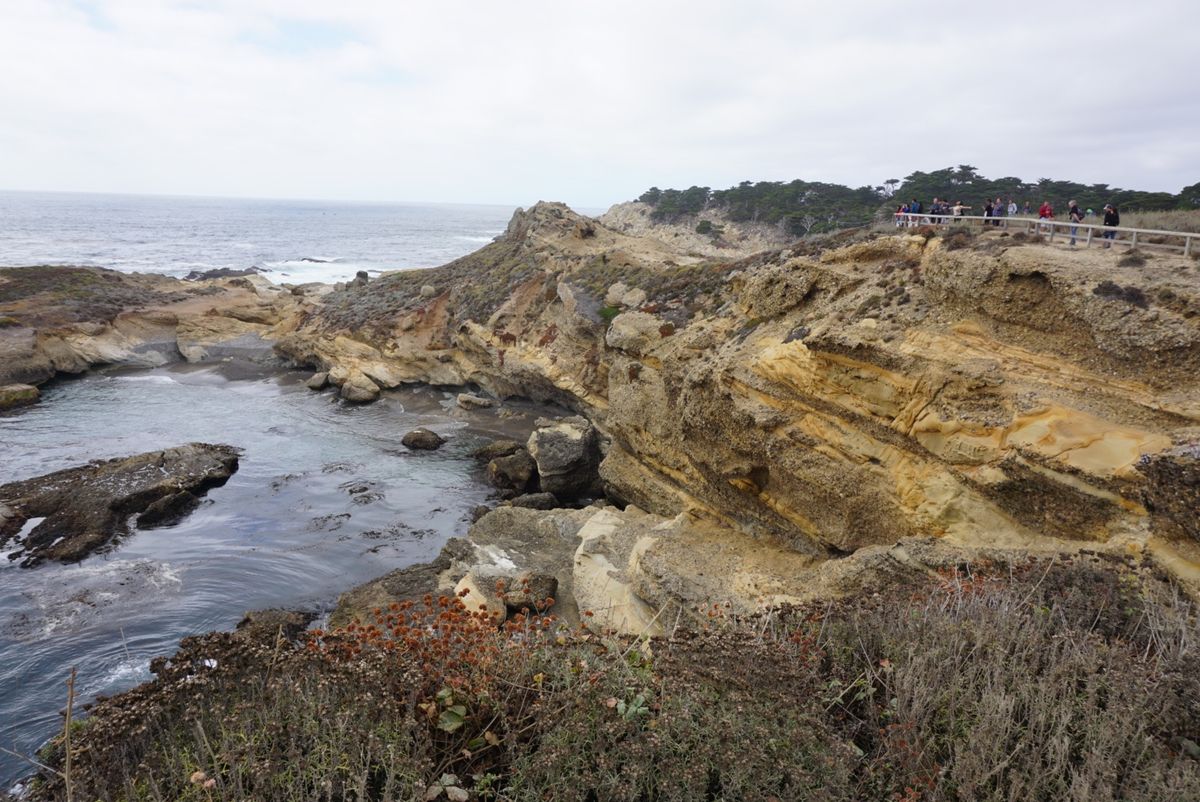 ボマイントロボスステート保護区。カリフォルニアの州立公園！野生のアザラシが...
