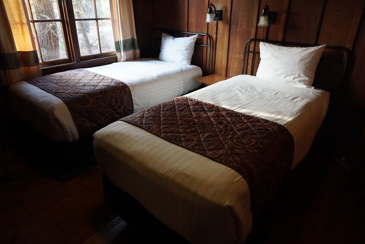 宿泊はアジロマホテル&カンファレンスグラウンズ！キツツキやタヌキに会えました。