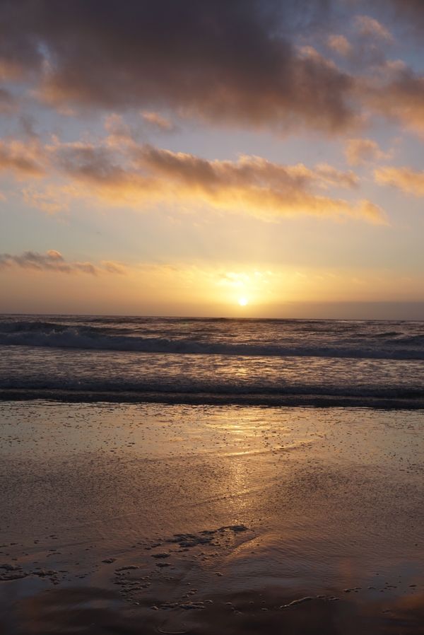 アメリカ(米国)・カリフォルニア・モントレー・カーメルバイザシー「モントレー・カーメルバイザシー」の写真