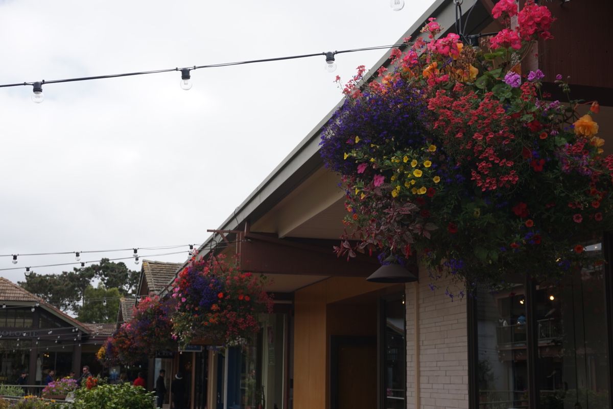 カーメルの街並み