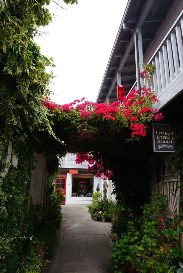 アメリカ(米国)・カリフォルニア・モントレー・カーメルバイザシー「モントレー・カーメルバイザシー」の写真:inカーメル