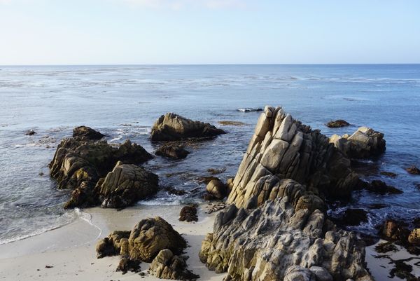 アメリカ(米国)・カリフォルニア・モントレー・カーメルバイザシー「モントレー・カーメルバイザシー」の写真